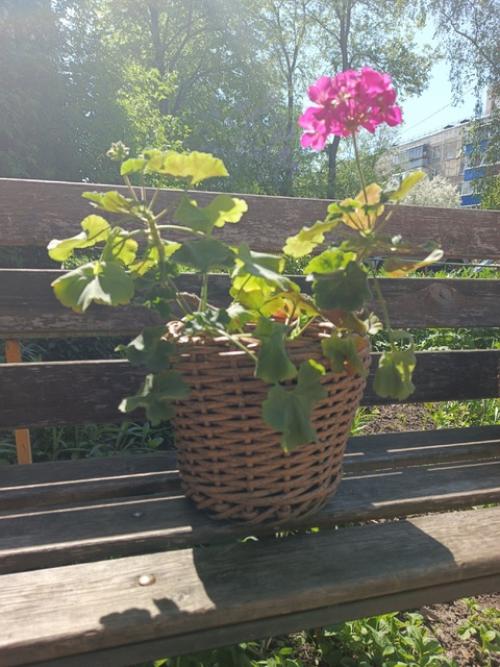 Кашпо из полиротанга. 02