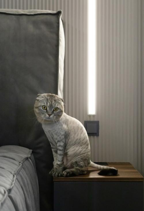 Всем привет!  Знакомлю вас с новым реализованным объектом. 05