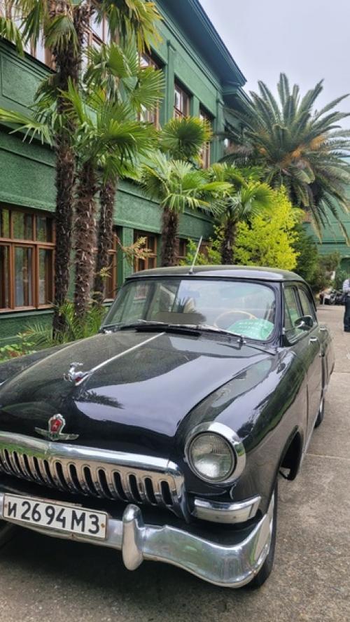 Чем заняться в Сочи не в сезон. 08