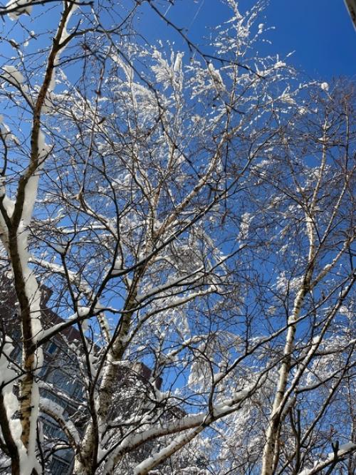 Самоизоляция короновирус сидимдома. 07