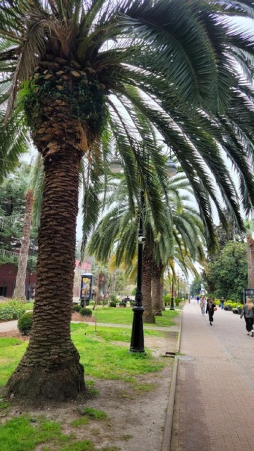 Чем заняться в Сочи не в сезон. 03