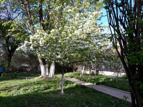 Дом - музей прекрасного русского писателя в. в. вересаева, родившегося в Туле в 1867 году. 02