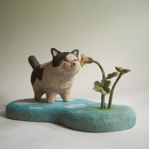 Сиро мофу (Shiro Mofu) вырезает из разных пород древесины чудесных котиков, каждого со своим характером. 08