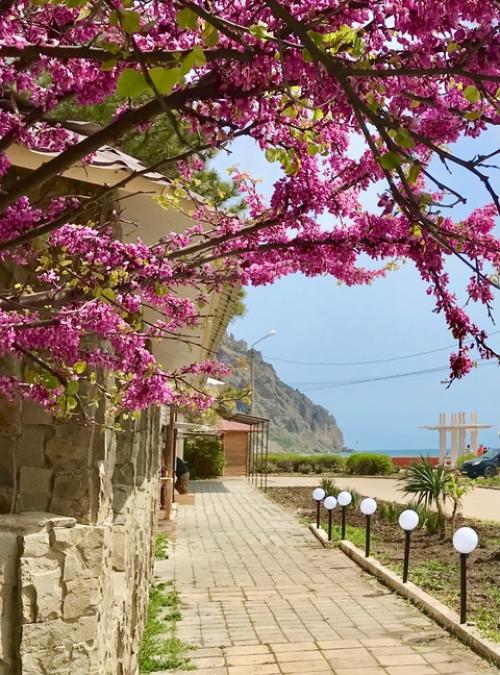 Прогулялись в курортное. 08