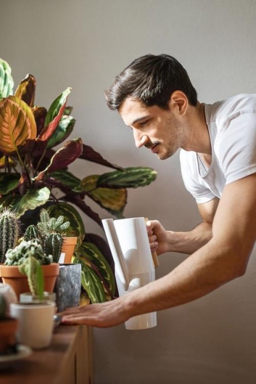 Как выбрать растение мужчине. 05