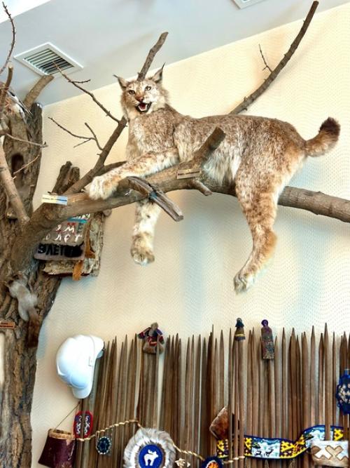 Тюмень даже под конец нашей поездки сюрпризом одарила. 01