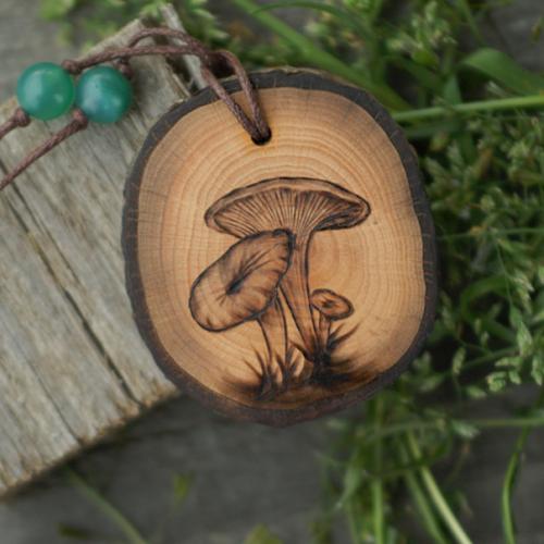 Грибы и просьба. 02