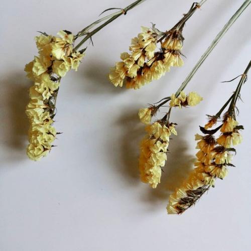 Как надолго украсить цветами любимые вазы? 03