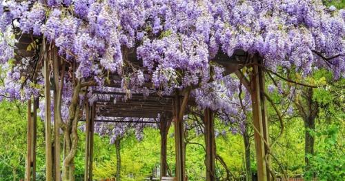 Я периодически рассказываю о том, что у нас происходит на участке. 04