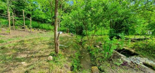 Я периодически рассказываю о том, что у нас происходит на участке. 02