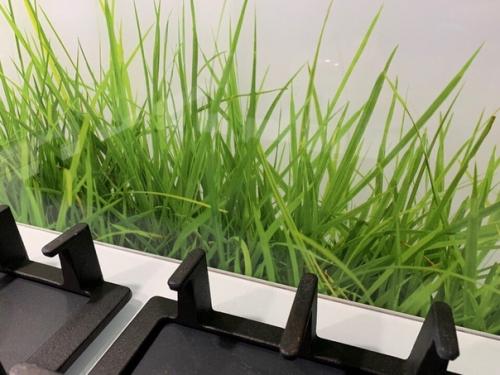 Уместили все на 7 кв. 04