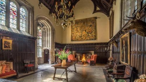 Мартышка - онанист - самый жизнерадостный призрак Британии. 03