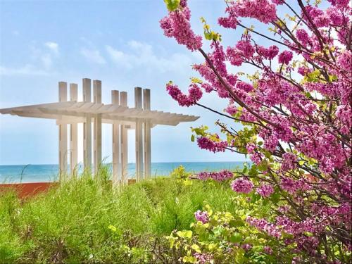 Прогулялись в курортное. 02