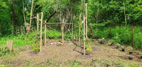 Я периодически рассказываю о том, что у нас происходит на участке. 03