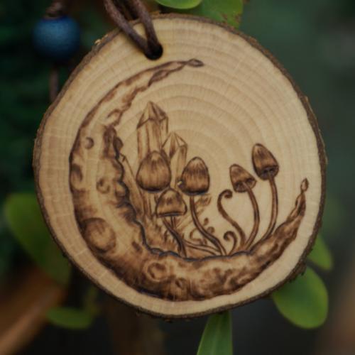 Грибы и просьба. 06