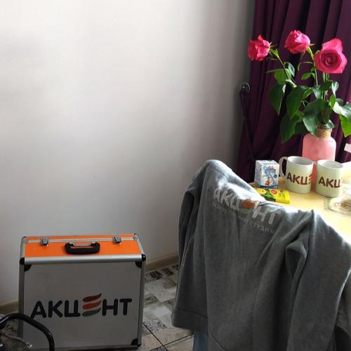 Роспись стен.  Аэрография. 01