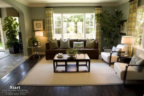 Какие растения для квартиры выбрать. 07