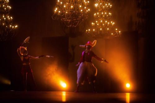 Ночь музеев в Санкт-петербурге: 15 лучших событий. 02