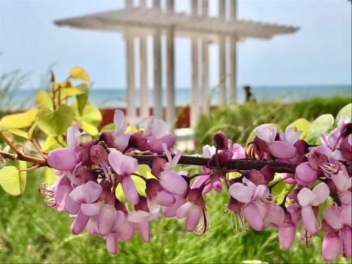 Прогулялись в курортное. 07