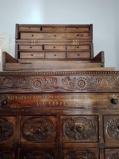 Босая, она неслышно ступает по ковровым дорожкам с маленьким пластиковым ведерком в руке - поливает цветы. 04