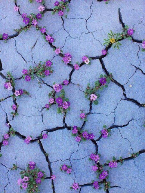 От?  Мармеладки?   Мы делаем ловец для снов?