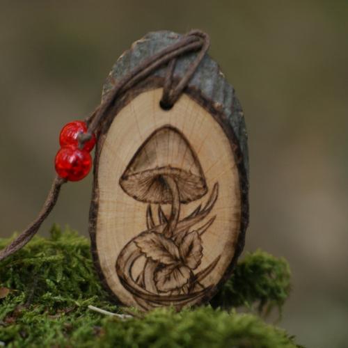 Грибы и просьба. 05