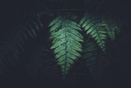 Поясните?   Poyasnizapikchi_Good. 03