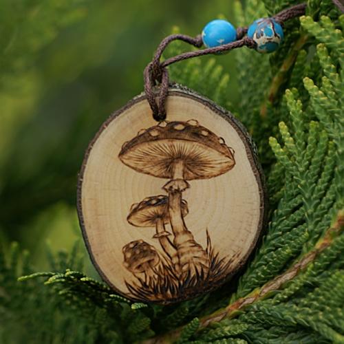 Грибы и просьба. 04