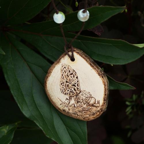 Грибы и просьба. 09