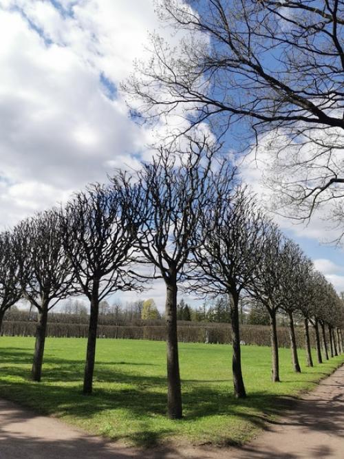 День третий.  Царское село. 08