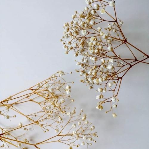 Как надолго украсить цветами любимые вазы? 02