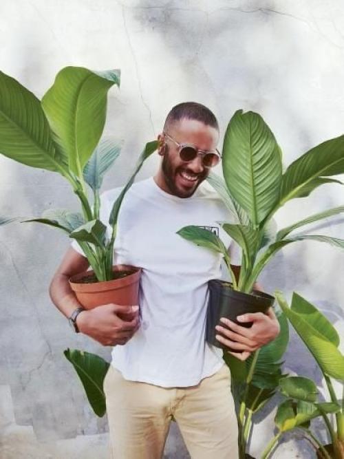 Как выбрать растение мужчине. 04