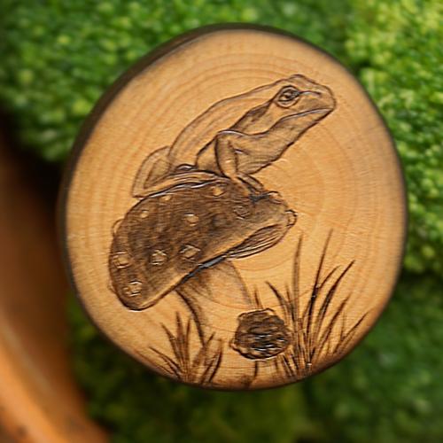 Грибы и просьба. 03