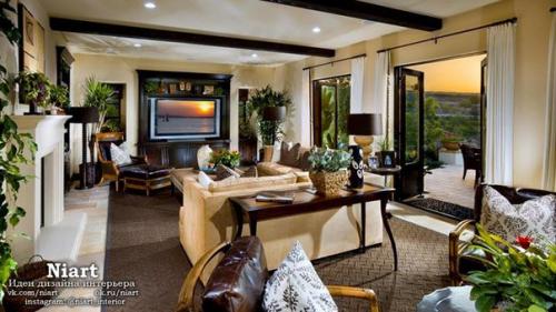 Какие растения для квартиры выбрать. 06