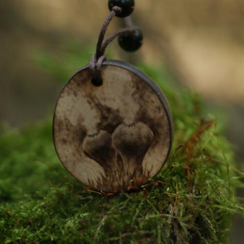 Грибы и просьба. 08