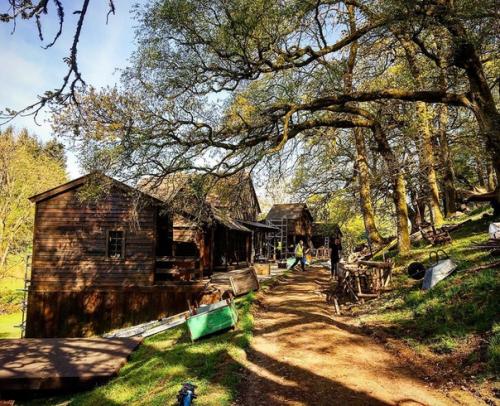 Мэтт Робертс не поддаётся на уговоры фанатов дать хоть намёк, что будет в 12 серии, но сказал уже скоро! 04