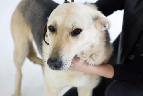 А это марсюша греется в лучах солнышка и примеряет на себя домашний интерьер. 01