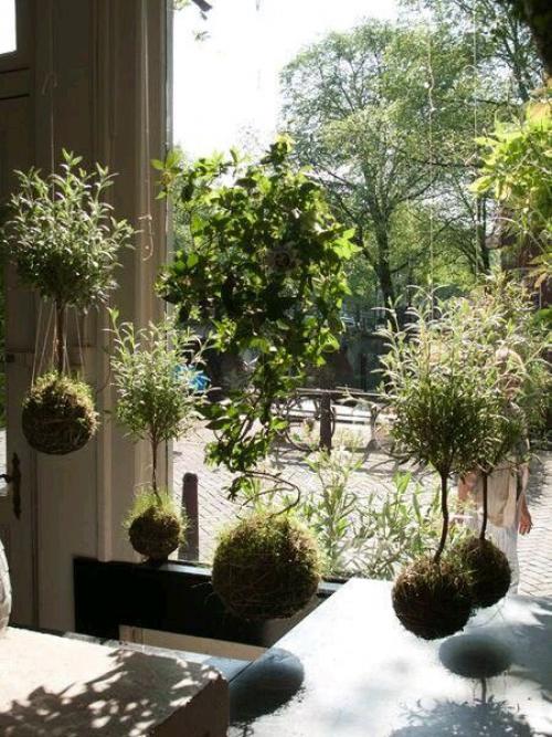 Висячие сады федора ван дер фалька? 06 Висячие сады федора ван дер фалька? 06