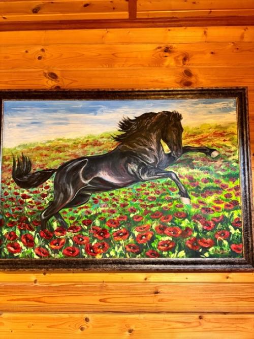 А что в вашем доме/быте может выдать в вас конника? 01