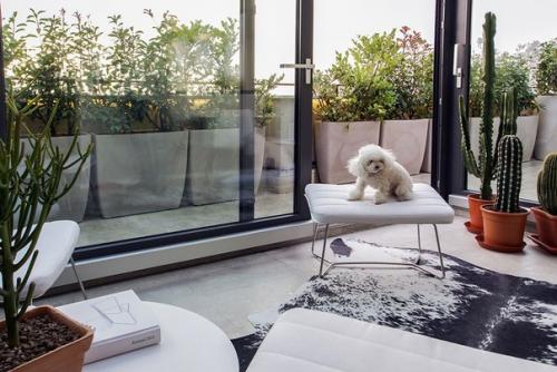 Двухуровневая квартира с террасой в Милане. 03