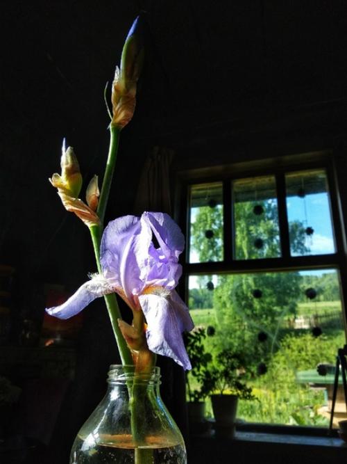 Знакомый прислал картинку с вопросом, как мне такая люстра. 01