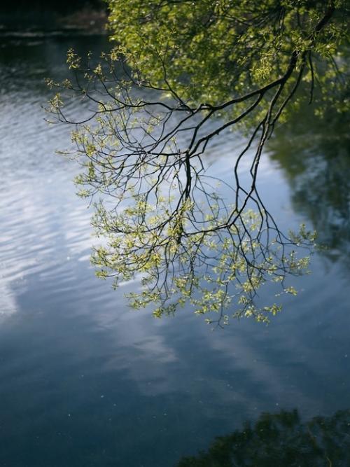 Про золотое кольцо на майских праздниках. 06
