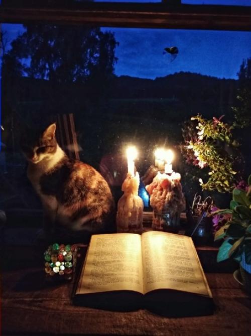 Знакомый прислал картинку с вопросом, как мне такая люстра. 04