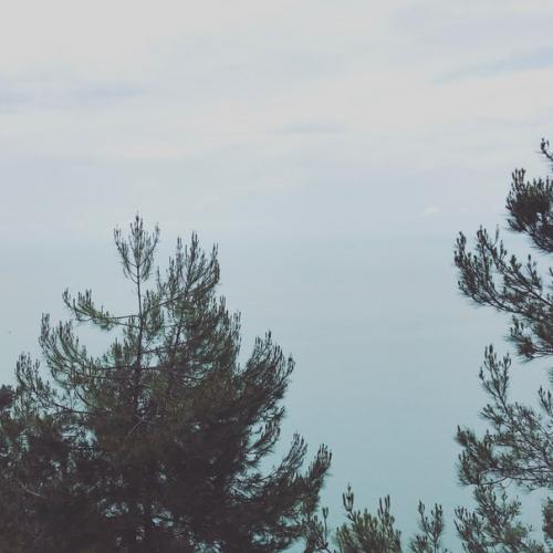 Одна из черноморских дач Сталина? 03