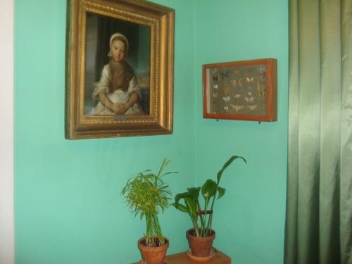 10 июня.  Путешествие по Подмосковью. 05