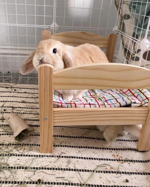 Деревянная кровать: почему она лучший вариант. 03