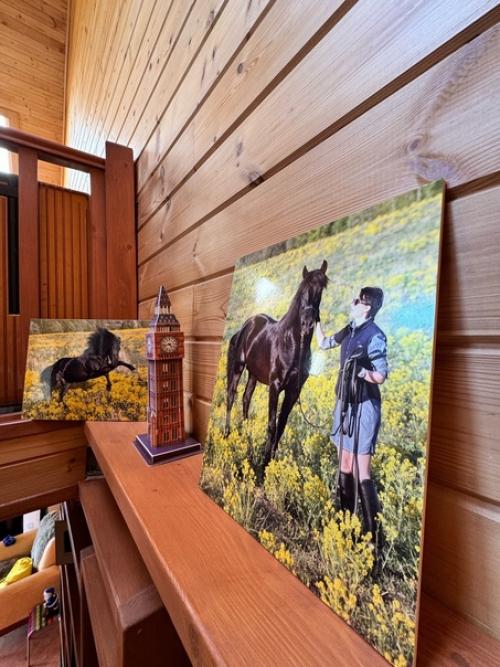 А что в вашем доме/быте может выдать в вас конника? 03