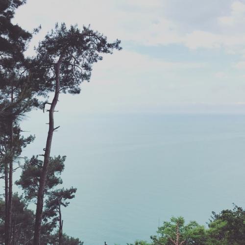 Одна из черноморских дач Сталина? 06