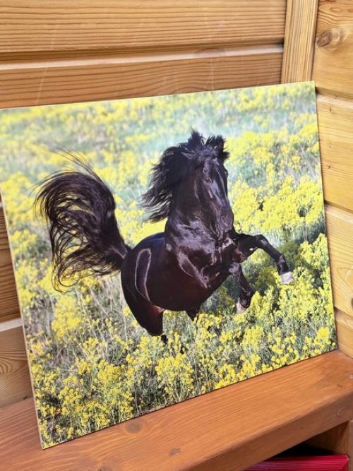 А что в вашем доме/быте может выдать в вас конника? 02