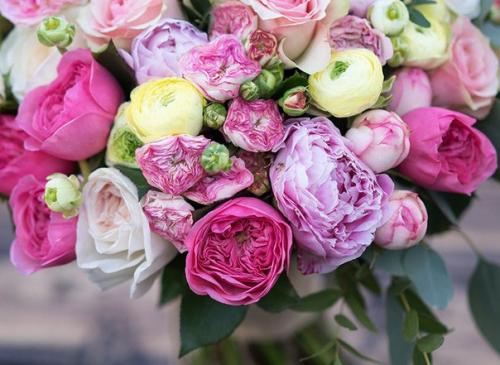 Вот и зацвели пионы. 04 Вот и зацвели пионы. 04